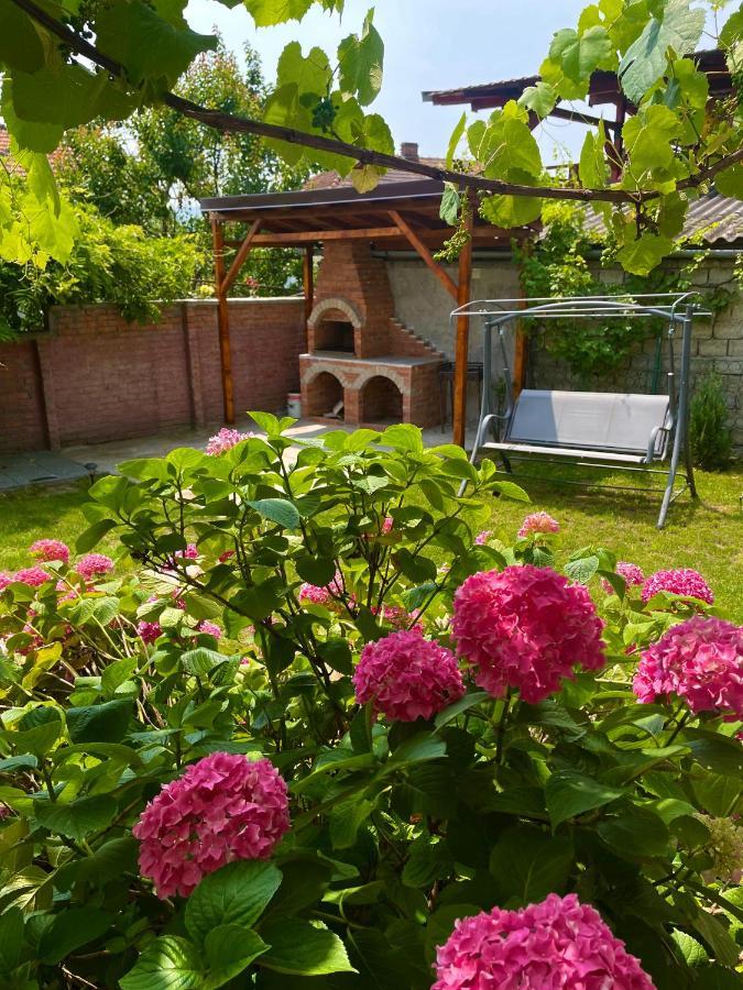 Orşova Holiday Home Esku מראה חיצוני תמונה